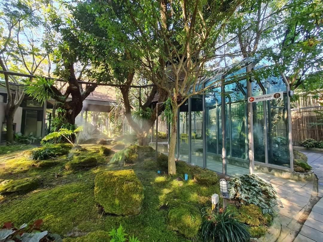 Treescape Resort Chiangmai Chiang Mai Exterior foto
